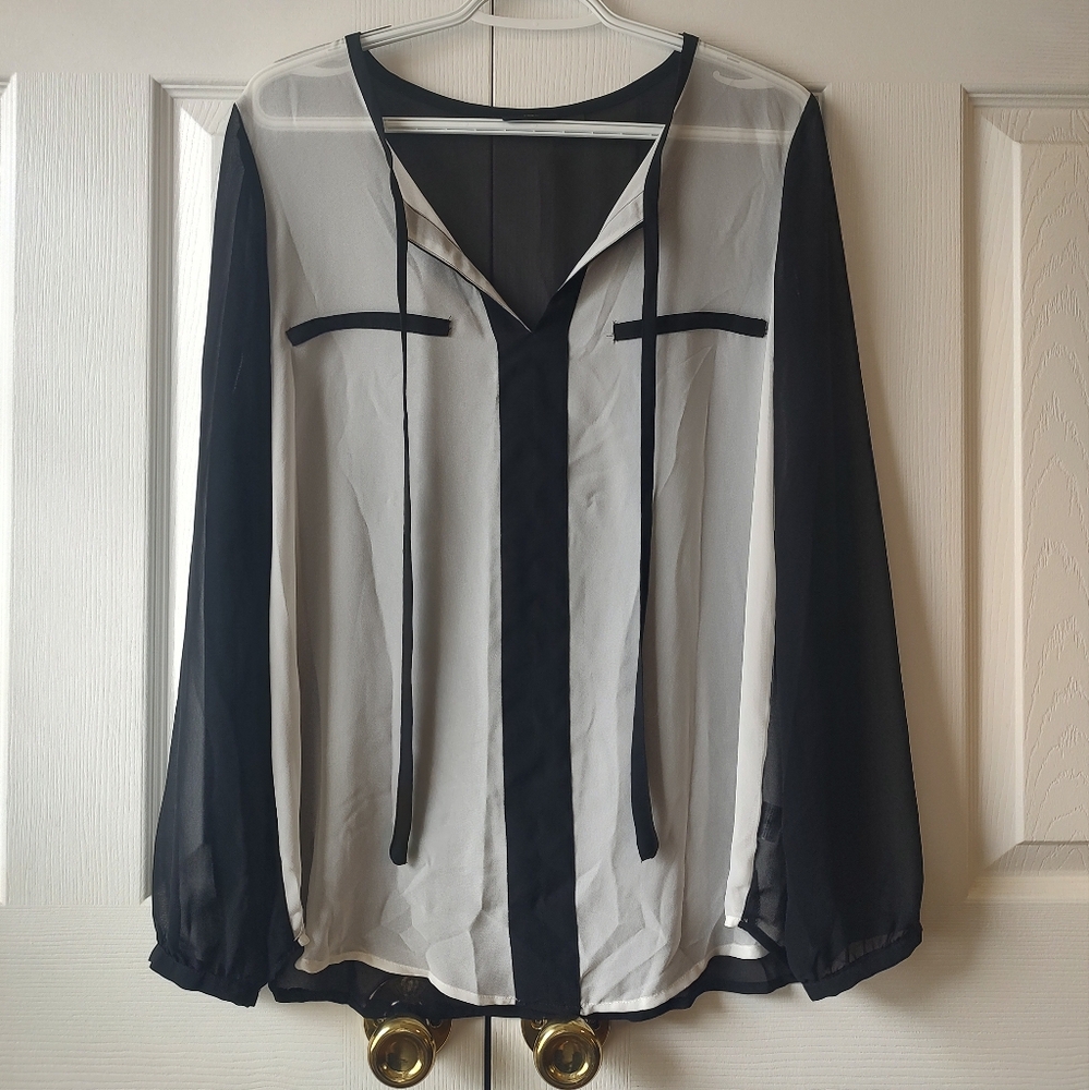Large Sheer ana Blouse